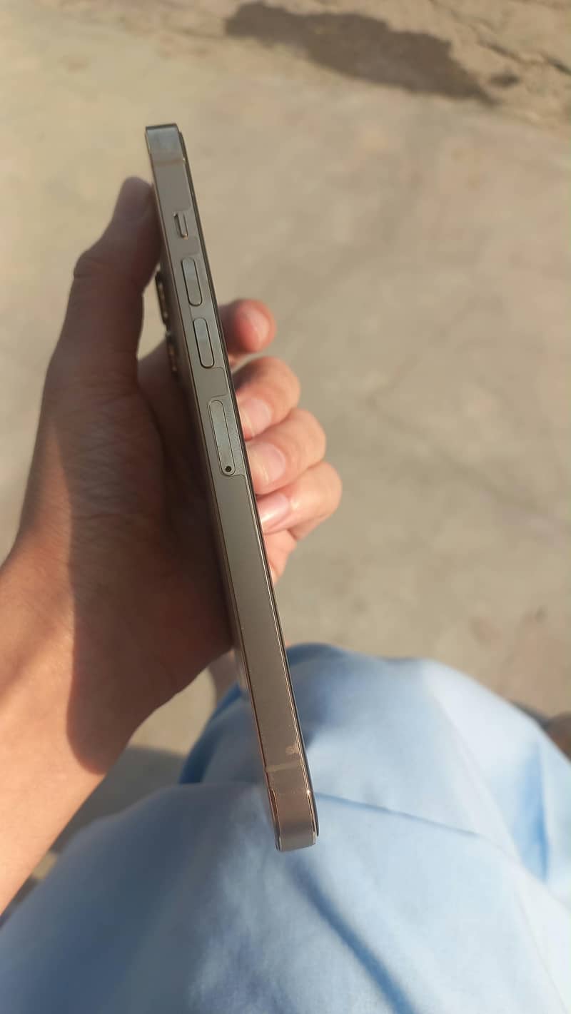 Apple iPhone 13 Pro Max 3