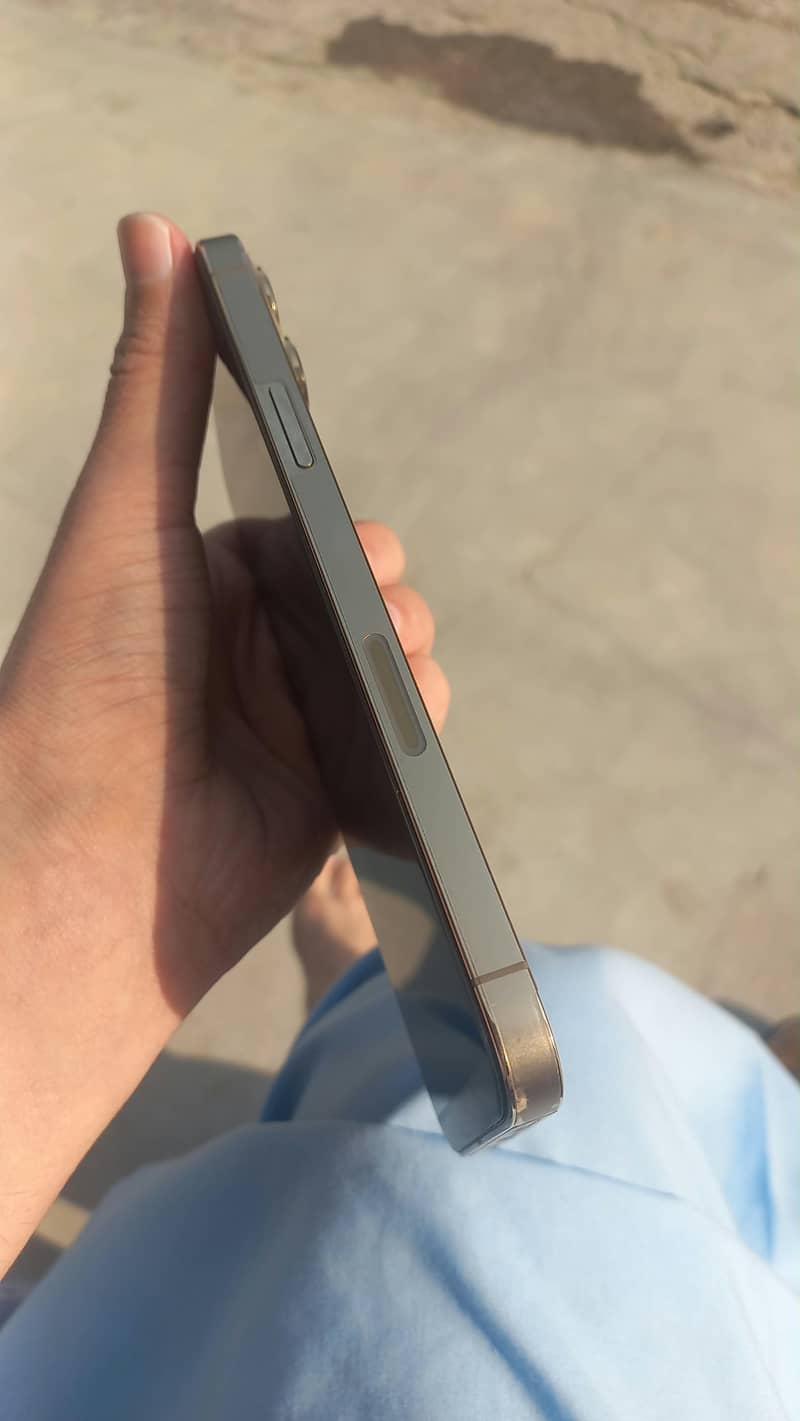 Apple iPhone 13 Pro Max 4