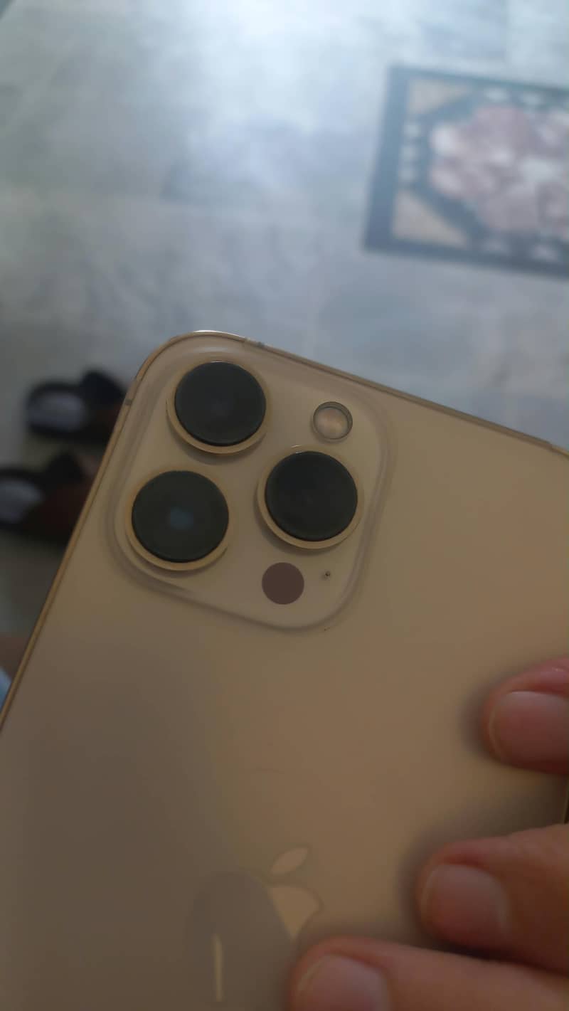 Apple iPhone 13 Pro Max 5