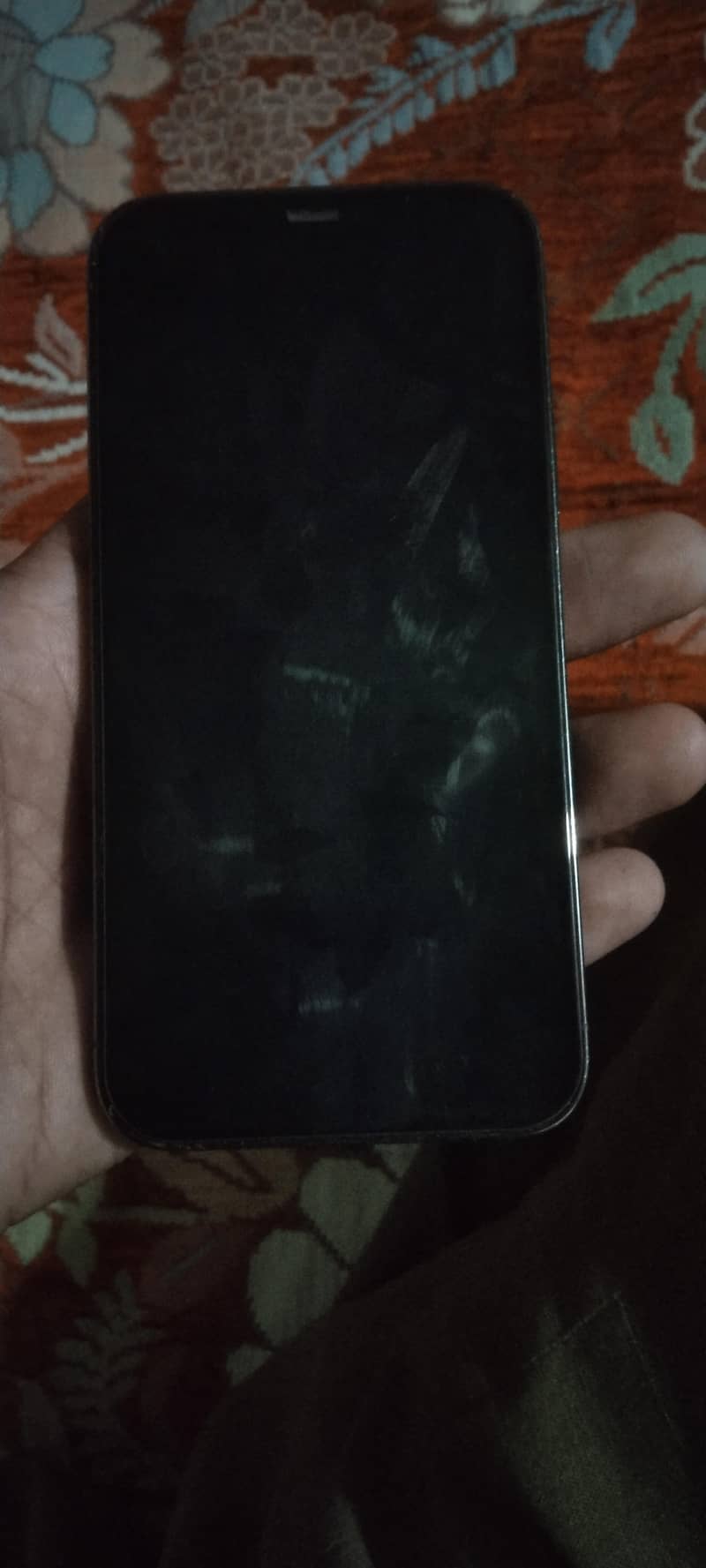 Apple iPhone 12 Pro 4