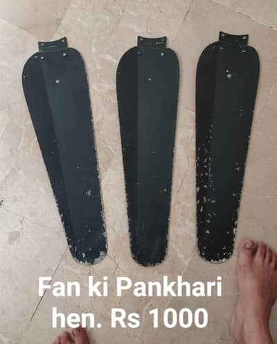 Fan ki Pankhari hen ye