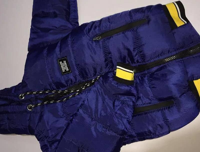 blue jacket 1