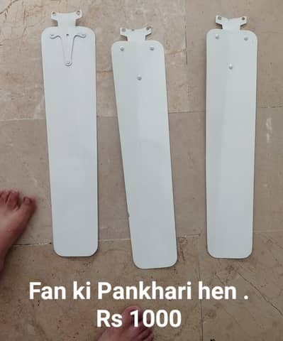 Fan ki Pankhari