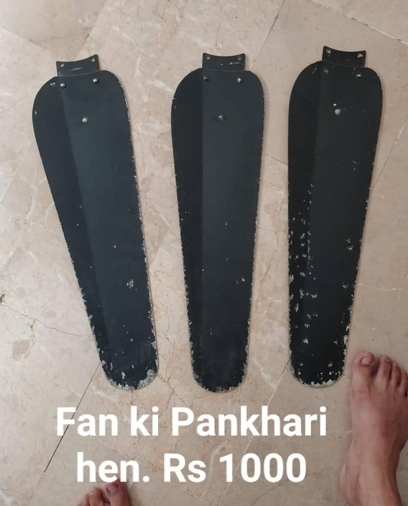 Fan he 3