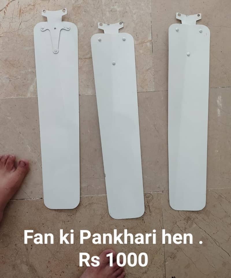 Fan he 4