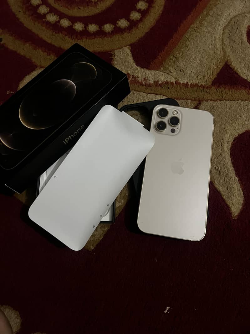 Apple iPhone 12 Pro Max 1