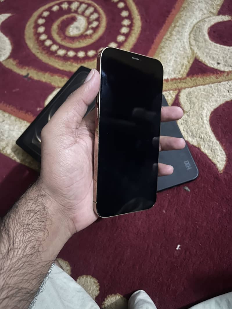Apple iPhone 12 Pro Max 2