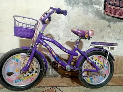 Used Bicycle for sale