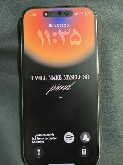 Apple iPhone 16 Pro