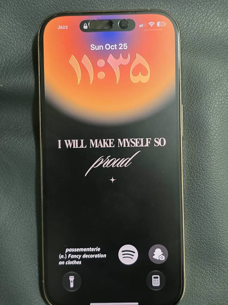 Apple iPhone 16 Pro 0