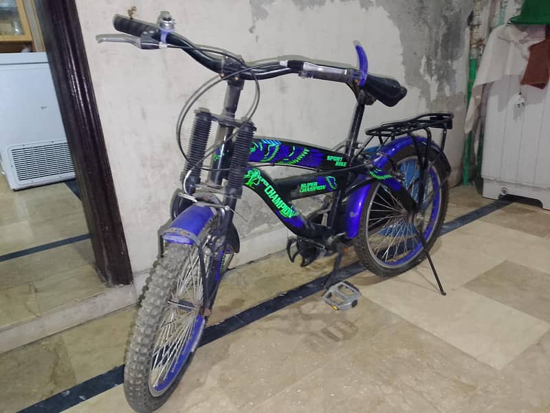 bicycle 2