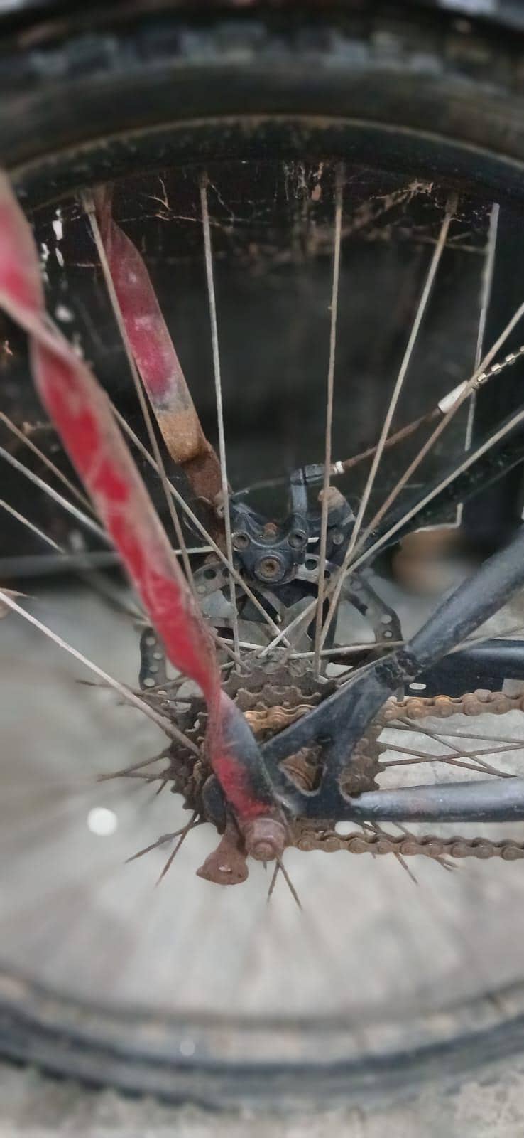 Casplan cycle good condition 5