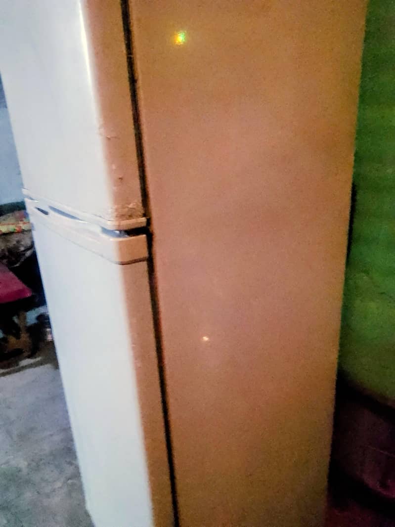 fridge 1
