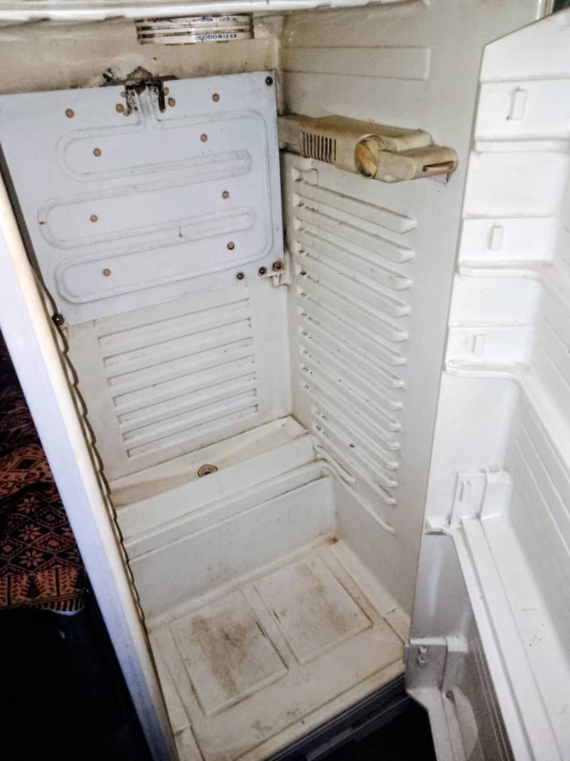 fridge 2