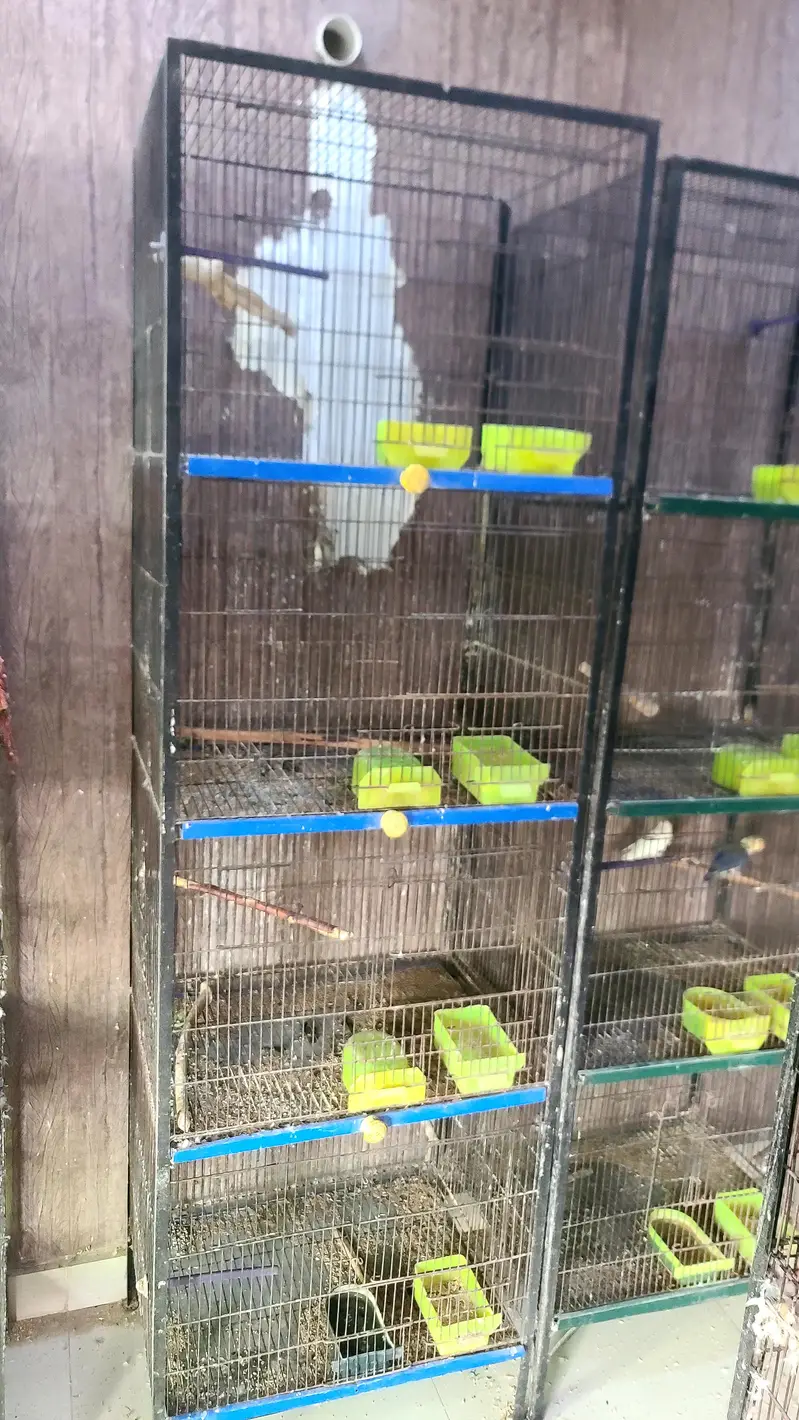 birds cages — photo 2