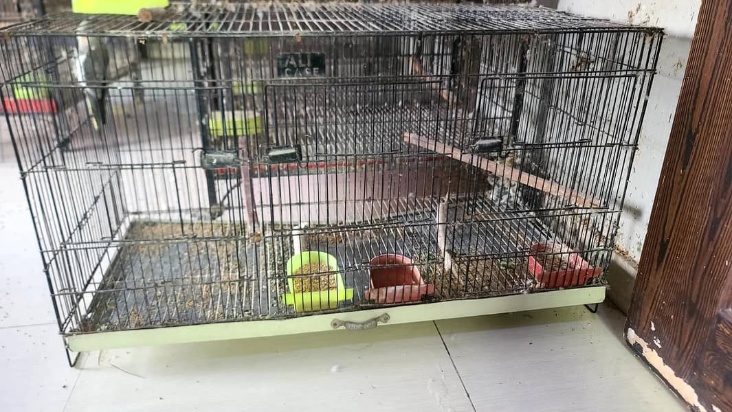 birds cages 3