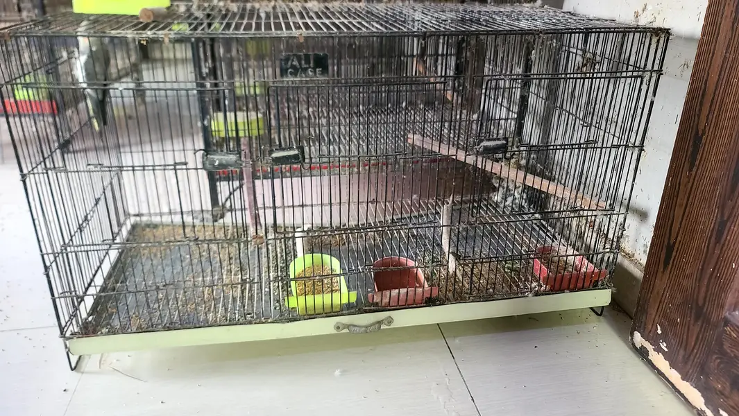 birds cages — photo 4