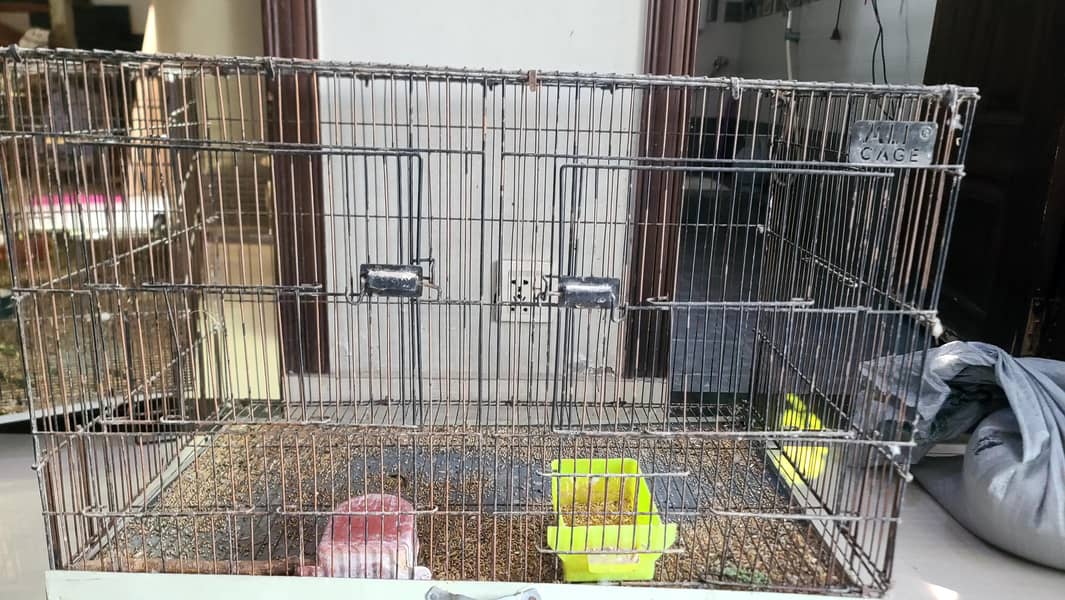 birds cages 4