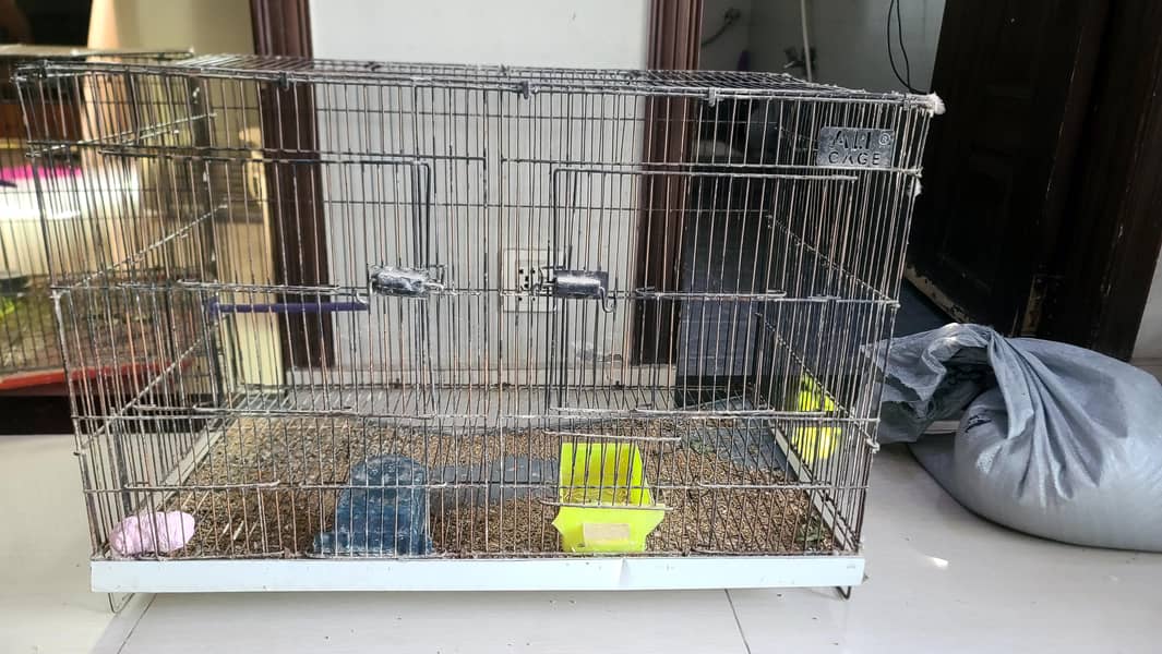 birds cages 5