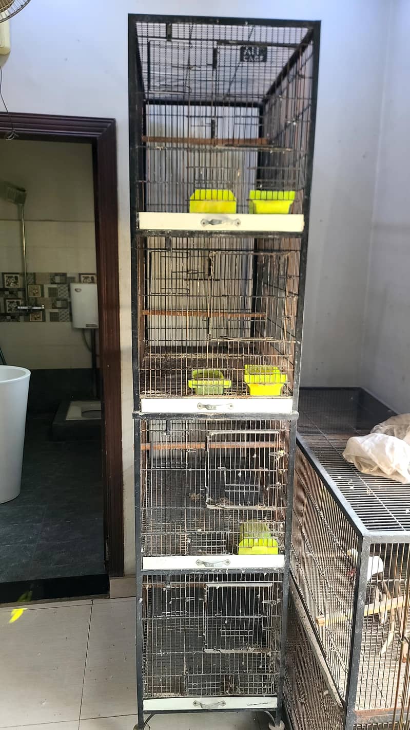 birds cages 7