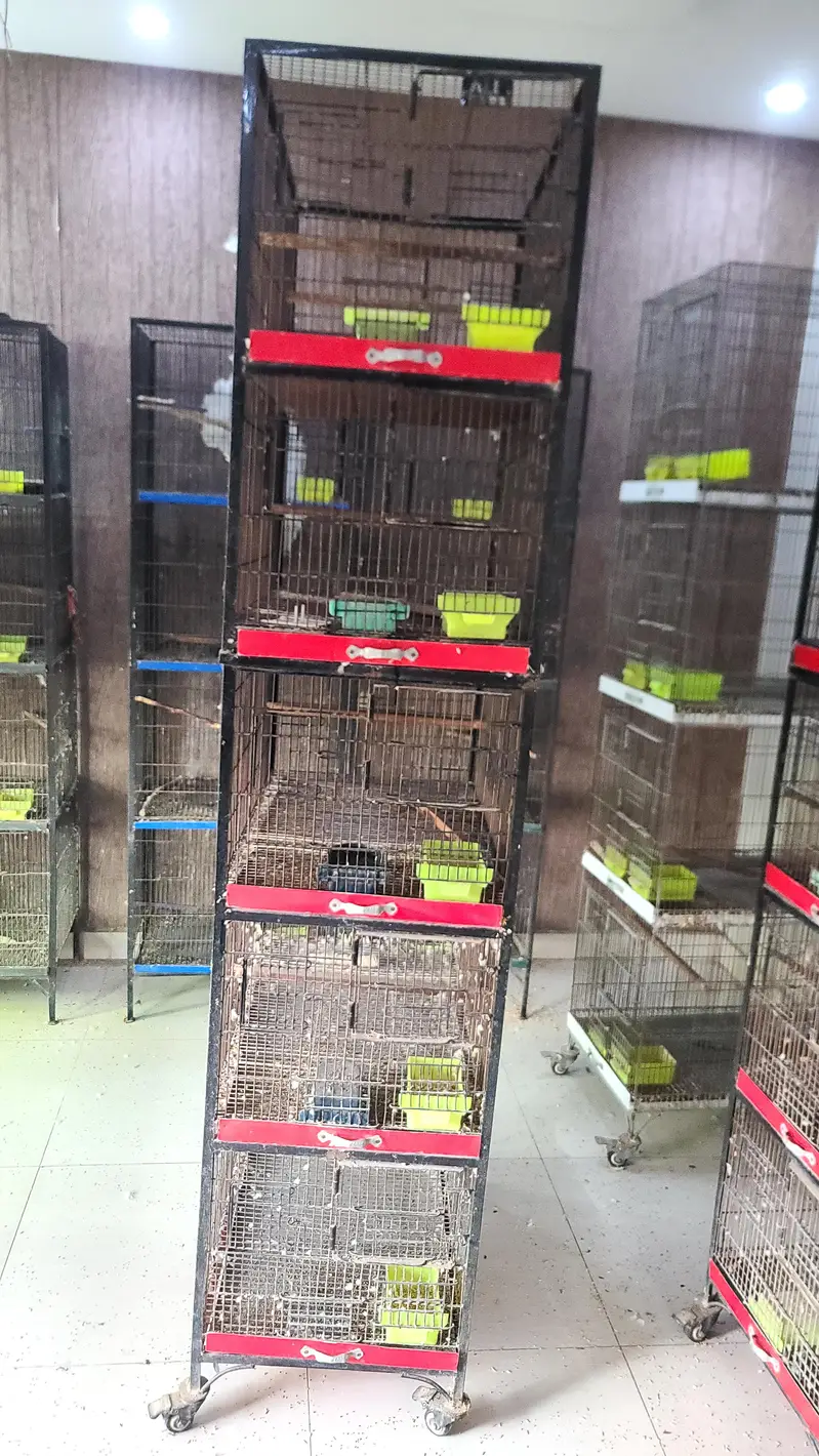 birds cages — photo 9