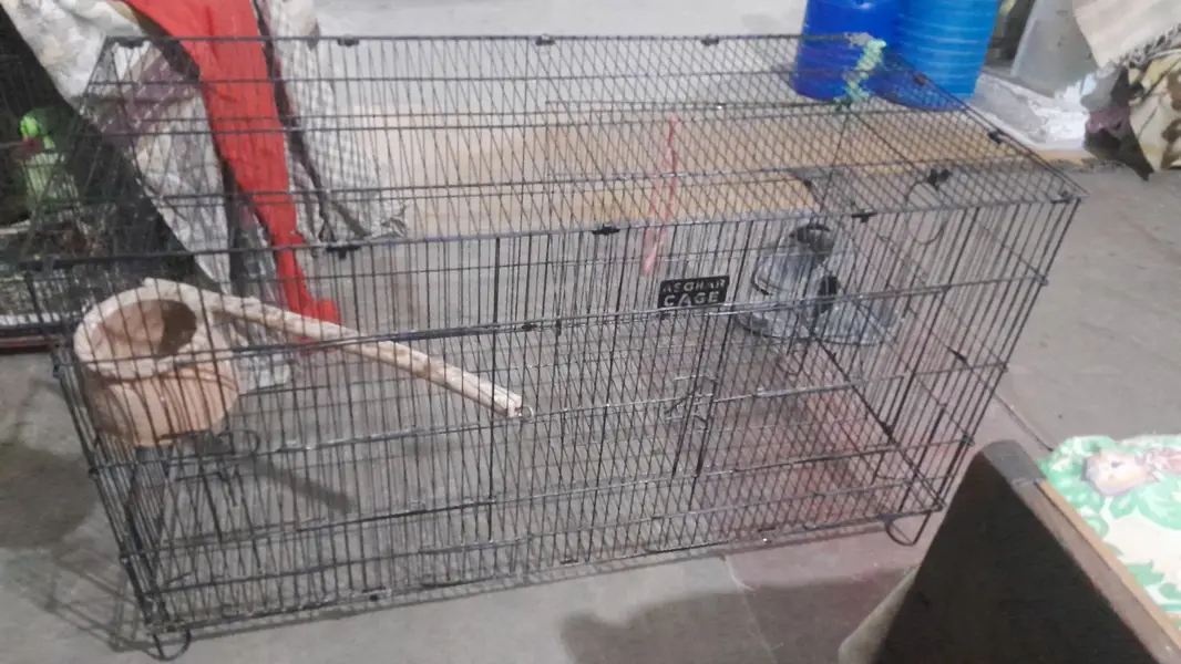 Australian perrot cage — photo 2
