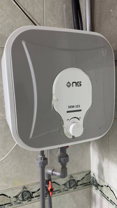 Electric geyser