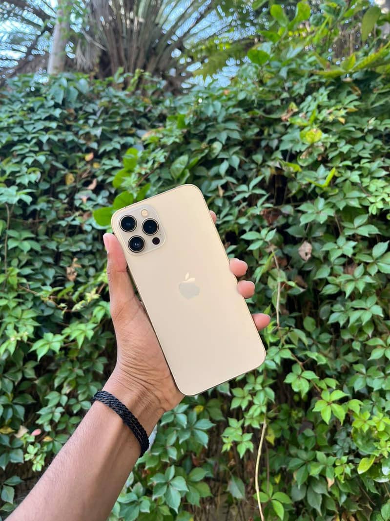 Apple iPhone 12 Pro Max 0