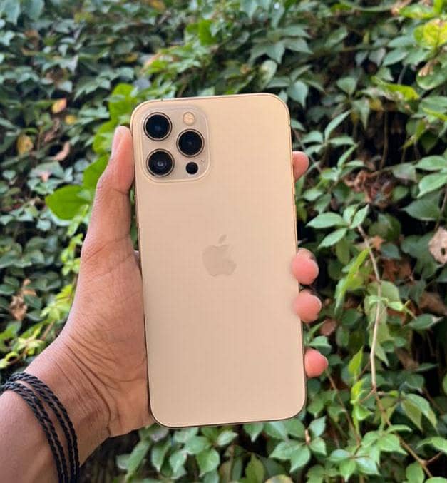 Apple iPhone 12 Pro Max 1