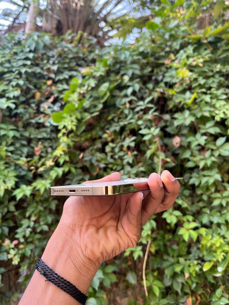 Apple iPhone 12 Pro Max 2