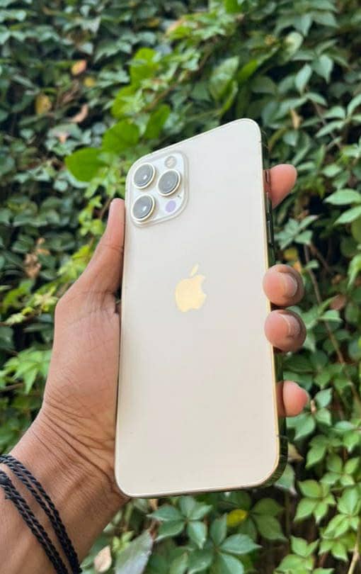 Apple iPhone 12 Pro Max 5