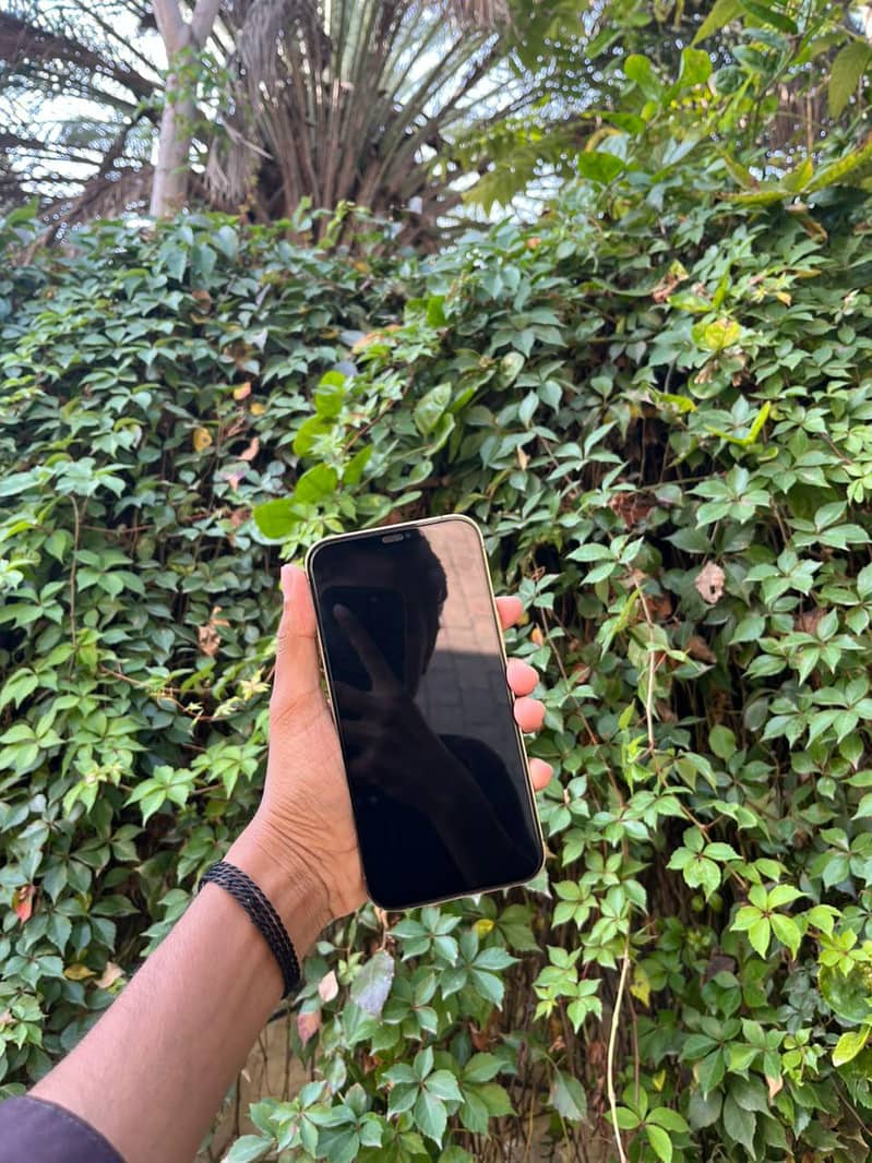 Apple iPhone 12 Pro Max 7
