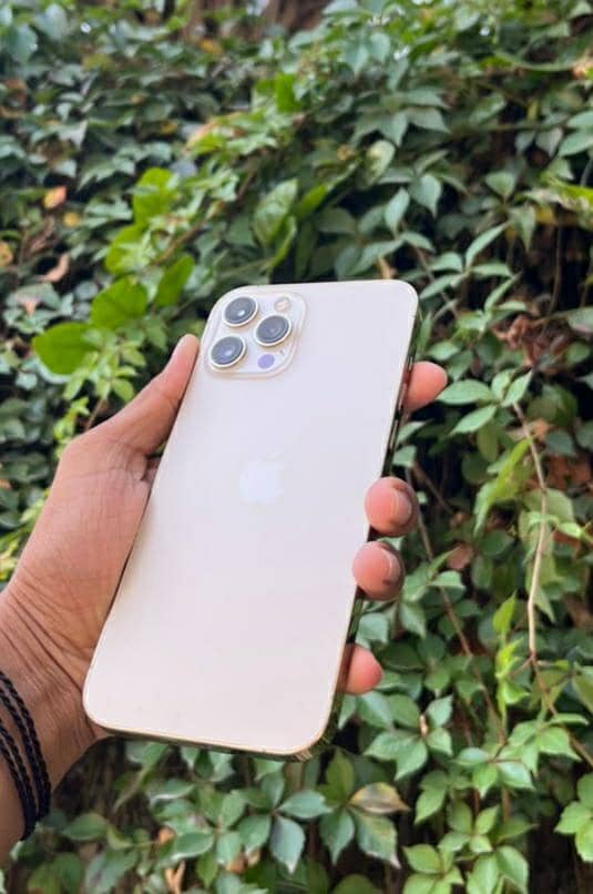 Apple iPhone 12 Pro Max 11
