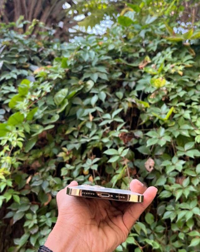 Apple iPhone 12 Pro Max 13