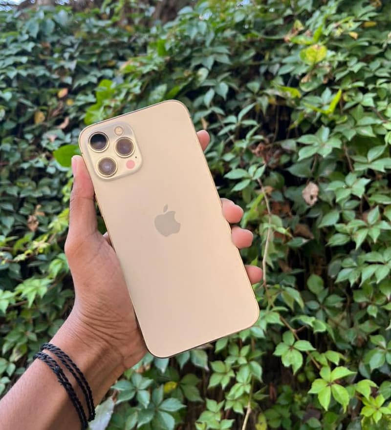 Apple iPhone 12 Pro Max 15