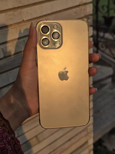 Apple iPhone 12 Pro Max