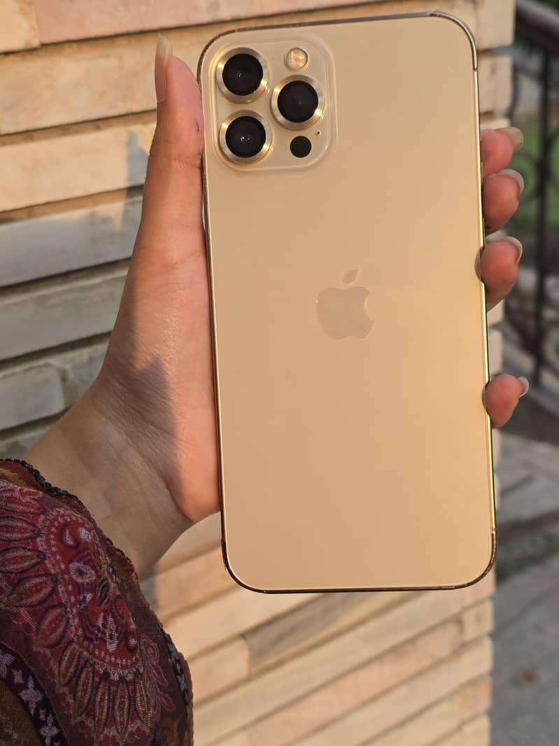 Apple iPhone 12 Pro Max 1