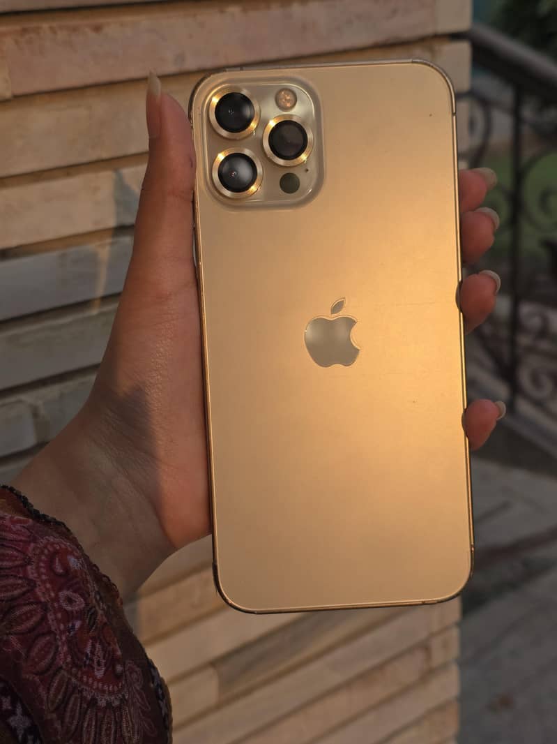 Apple iPhone 12 Pro Max 2