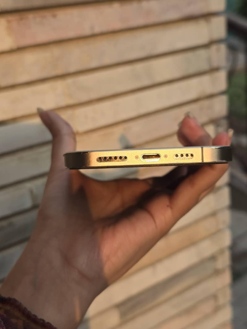 Apple iPhone 12 Pro Max 3