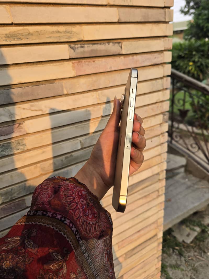 Apple iPhone 12 Pro Max 4