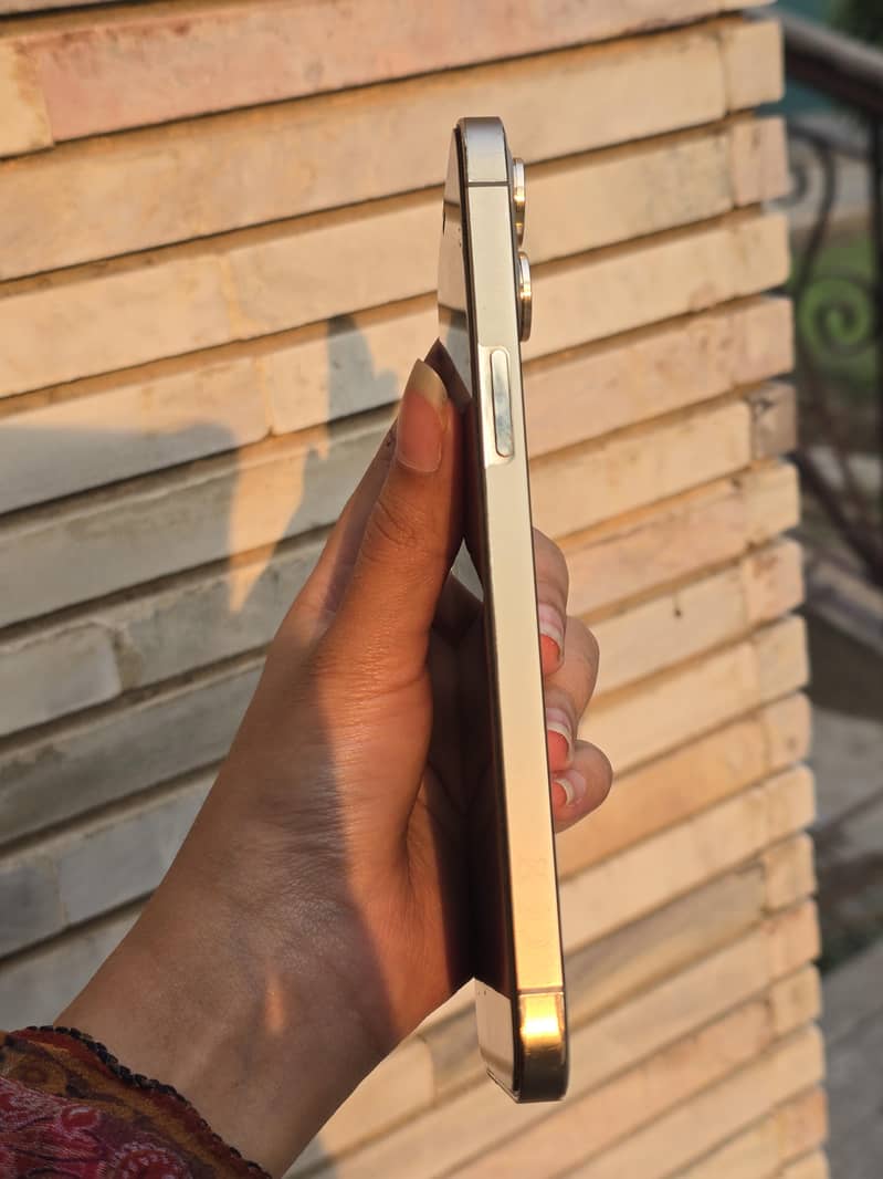 Apple iPhone 12 Pro Max 5
