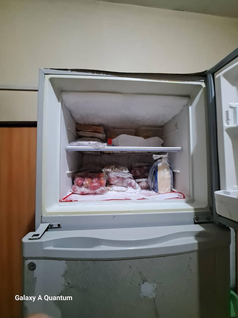 fridge 4