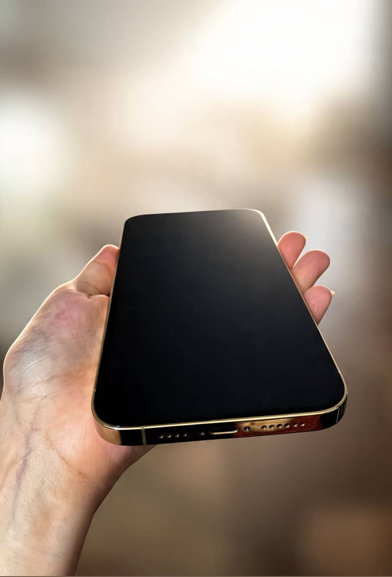 Apple iPhone 12 Pro Max 1