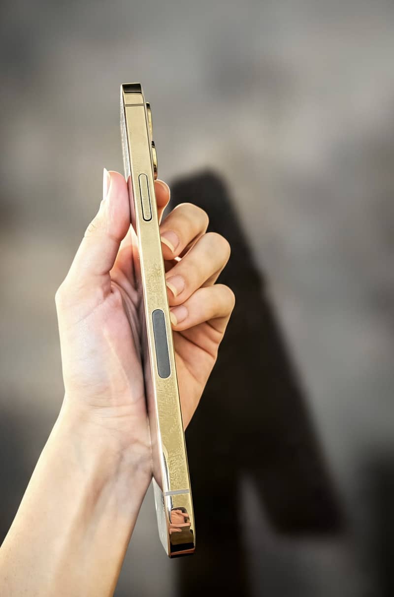 Apple iPhone 12 Pro Max 3