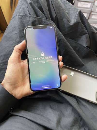 Apple iPhone 12 Pro Max