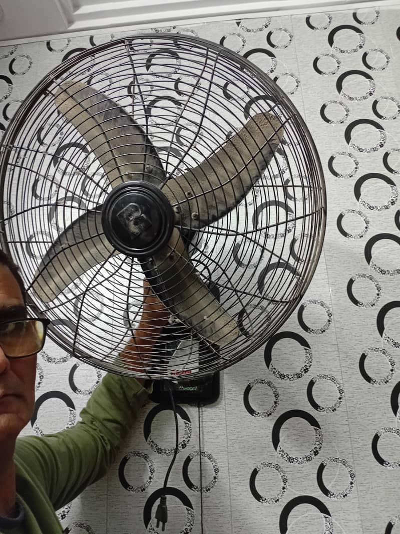 Royal Bracket Fan 2