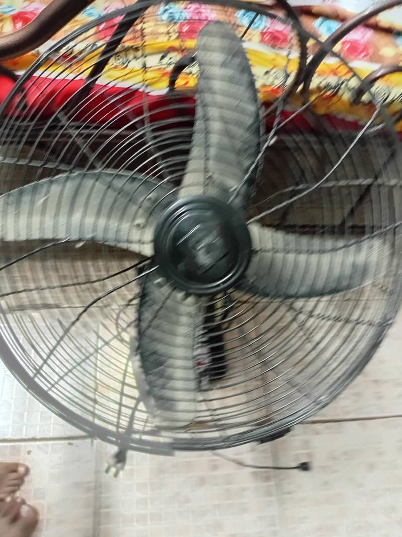 Royal Bracket Fan 9