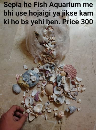 Toy picture me dekhlo