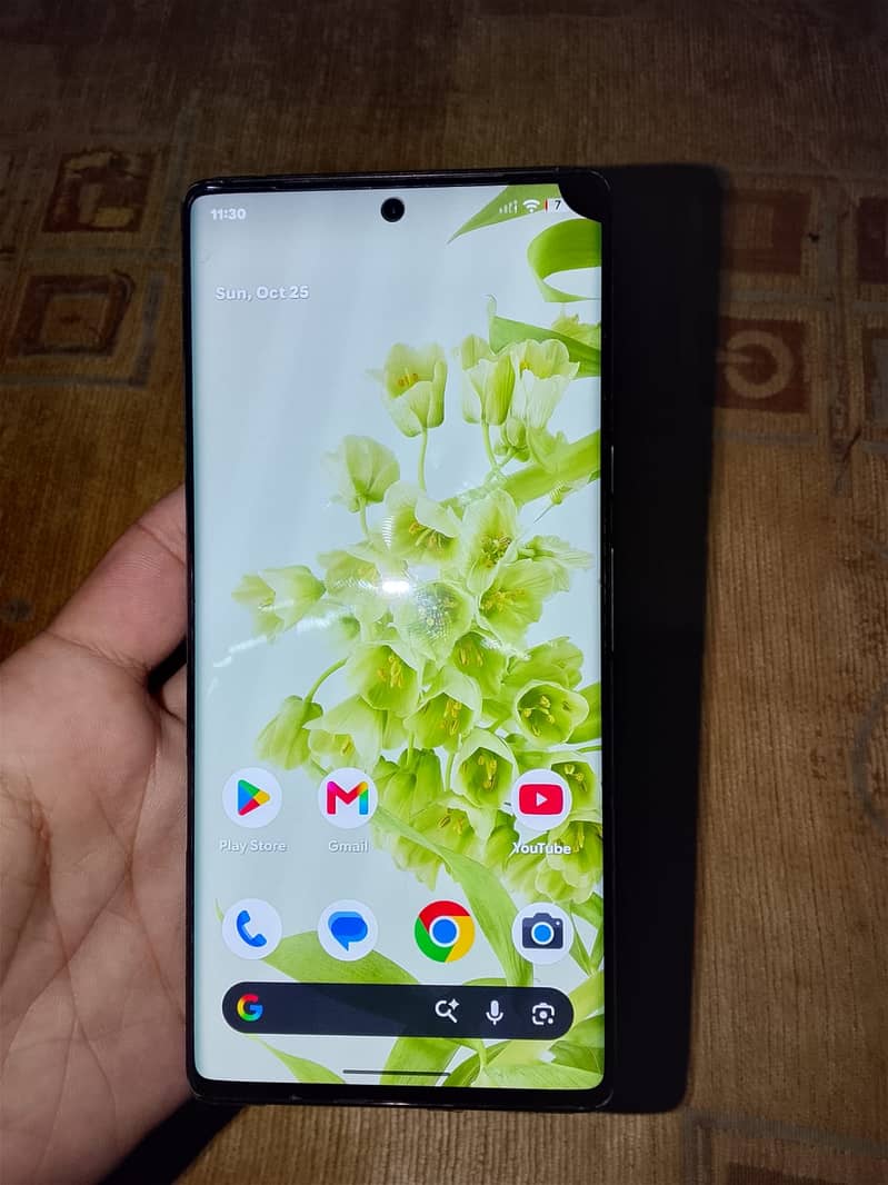Google Pixel 6 Pro 0