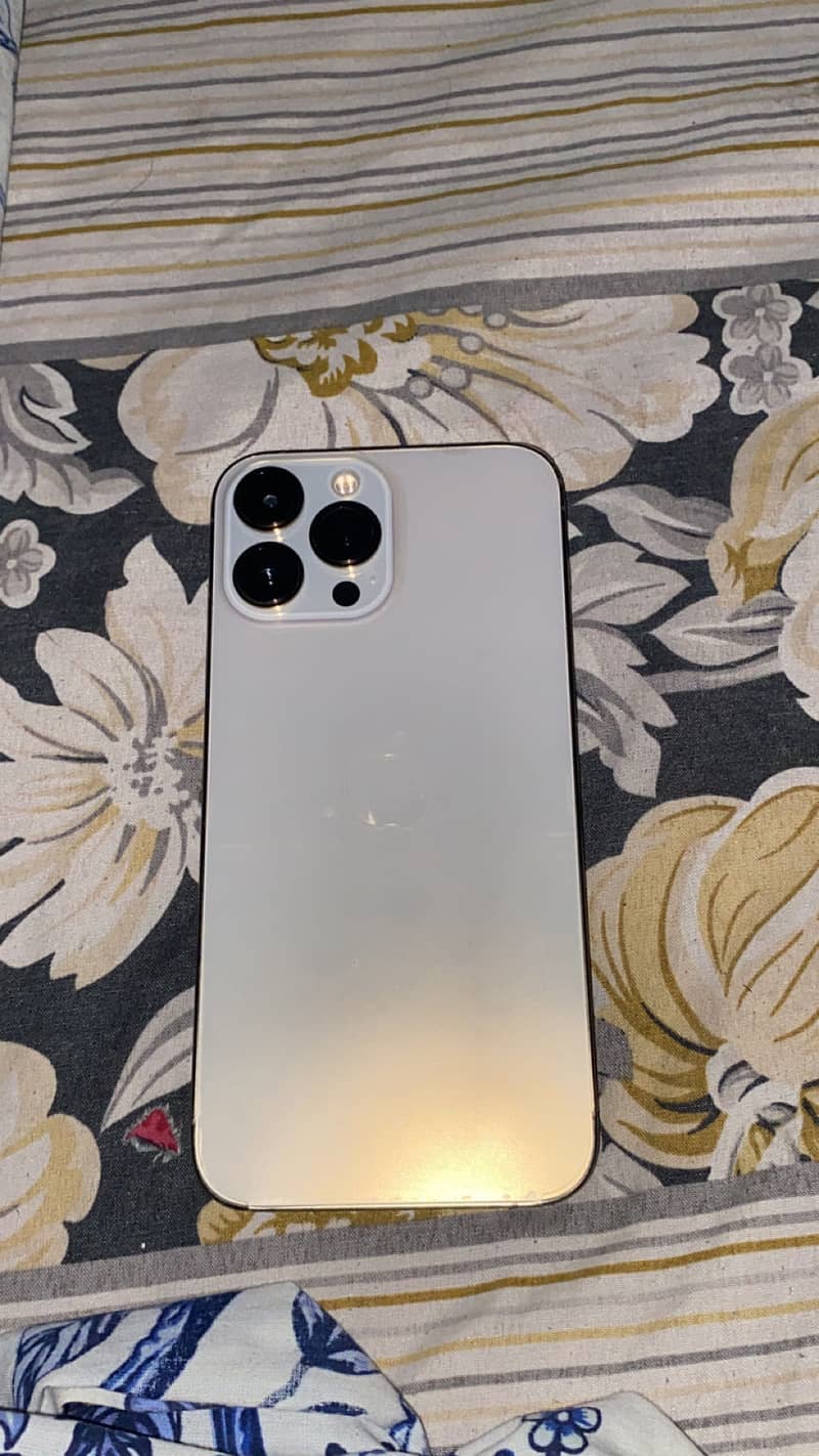 Apple iPhone 13 Pro Max 1